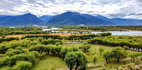 西藏雅尼国家湿地公园