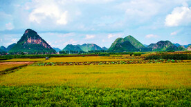 云南普者黑湿地公园