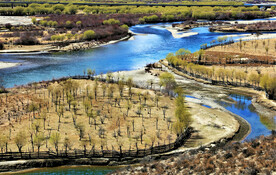 西藏雅尼国家湿地公园