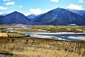 西藏雅尼国家湿地公园