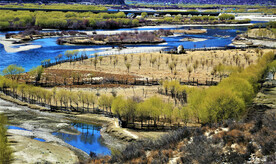 西藏雅尼国家湿地公园