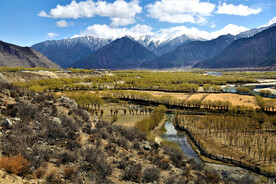 西藏雅尼国家湿地公园