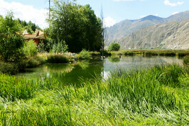 西藏拉萨拉鲁湿地