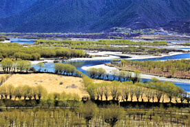 西藏雅尼国家湿地公园