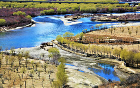 西藏雅尼国家湿地公园