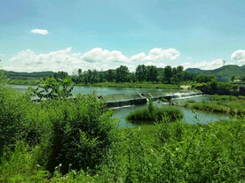 辽宁抚顺社河湿地公园