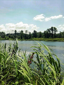 辽宁抚顺社河湿地公园
