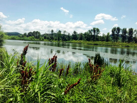 辽宁抚顺社河湿地公园