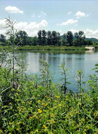 辽宁抚顺社河湿地公园