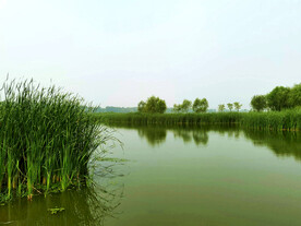 天津潮白河湿地公园