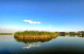 天津七里海湿地