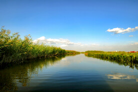 天津七里海湿地