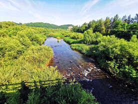 辽宁抚顺社河湿地公园