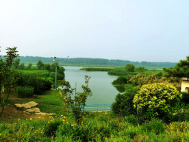 天津潮白河湿地公园