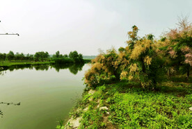 天津潮白河湿地公园