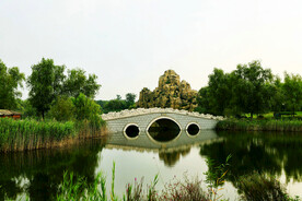 山东汶上莲花湖湿地公园