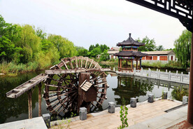 山东汶上莲花湖湿地公园