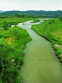 辽宁抚顺社河湿地公园