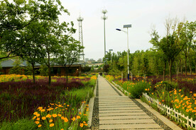 天津环秀湖国家湿地公园