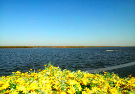 天津七里海湿地