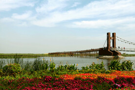 天津七里海湿地