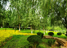 天津潮白河湿地公园