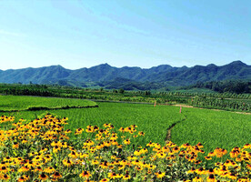 辽宁抚顺社河湿地公园