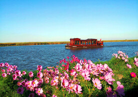 天津七里海湿地