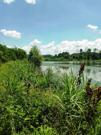 辽宁抚顺社河湿地公园