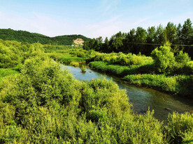 辽宁抚顺社河湿地公园