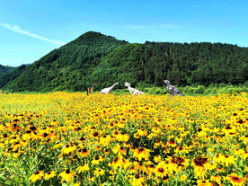 辽宁抚顺社河湿地公园