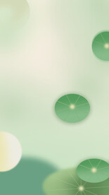 夏至荷叶夏天背景