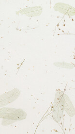 淡雅小清新背景