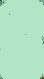 青色文艺小清新绿叶背景