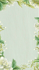 小清新夏季背景