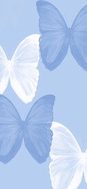蓝色简约蝴蝶背景
