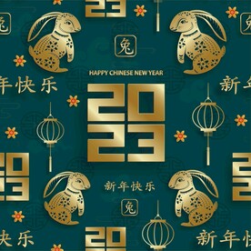 春节兔子素材兔子元素图案 