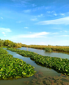 黑龙江大庆鹤鸣湖湿地