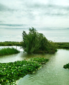 黑龙江大庆鹤鸣湖湿地