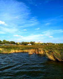 黑龙江大庆鹤鸣湖湿地