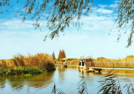 上海青浦大莲湖湿地