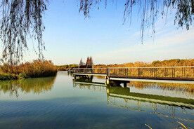 上海青浦大莲湖湿地