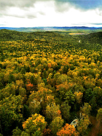 黑龙江伊春新青湿地