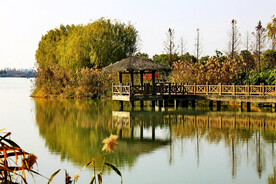 上海青浦大莲湖湿地