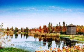 上海青浦大莲湖湿地
