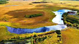 黑龙江伊春新青湿地