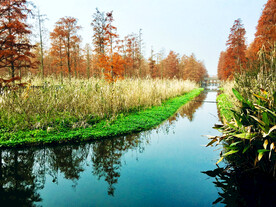 上海青浦大莲湖湿地
