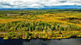 黑龙江伊春新青湿地