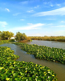 黑龙江大庆鹤鸣湖湿地
