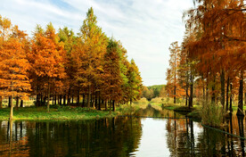 上海青浦大莲湖湿地